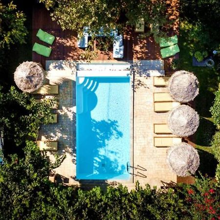 Turdus Merula Retreat Néa Mákri Exterior foto