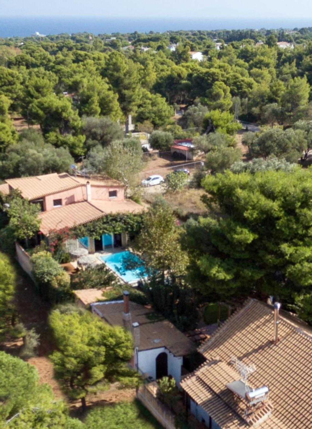 Turdus Merula Retreat Néa Mákri Exterior foto